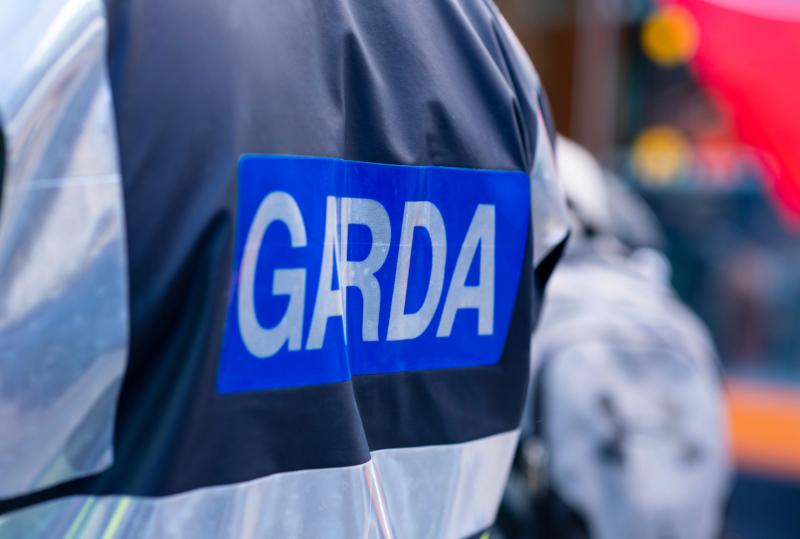 Garda&iacute; make witness appeal after 'young boy' dies in car accident on bank holiday evening