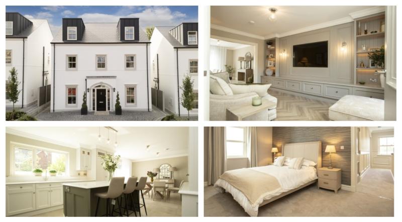 PICTURES: Stunning luxury Blackrock residence hits the market