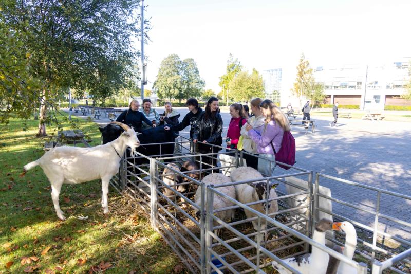 Dundalk IT's week of activities to support mental health and wellbeing