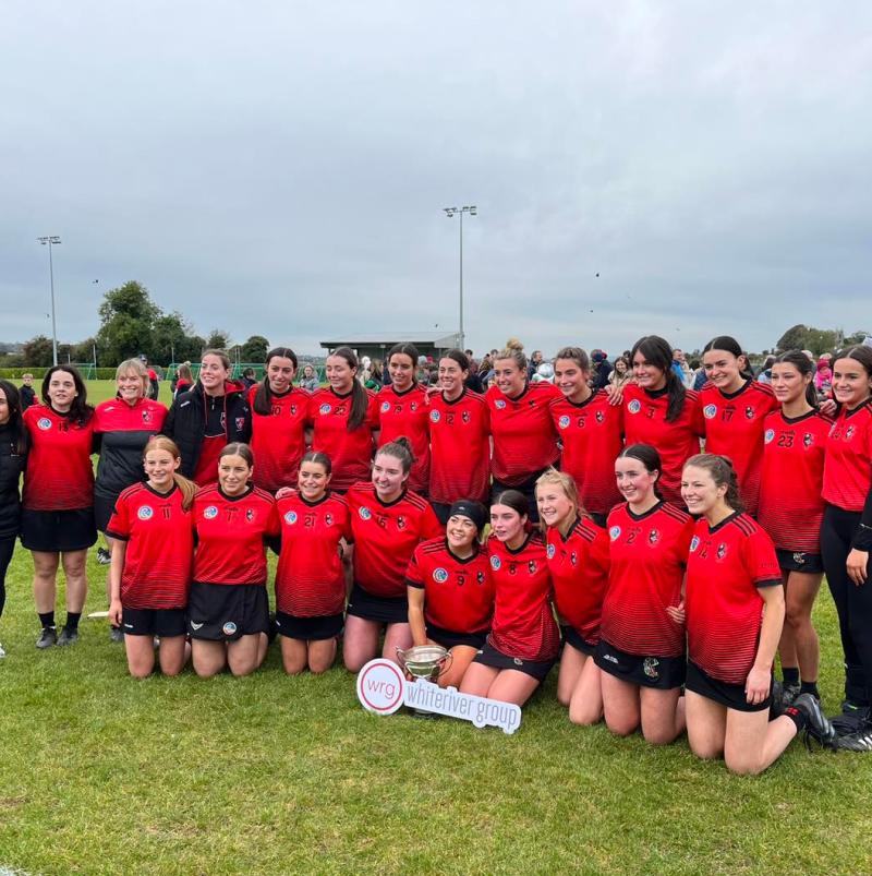 St. Kevins beat the Brides to become senior camogie champions