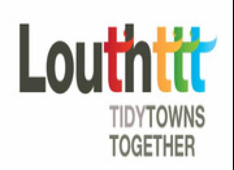 Louth Tidy Towns issue an appeal to general election candidates about posters
