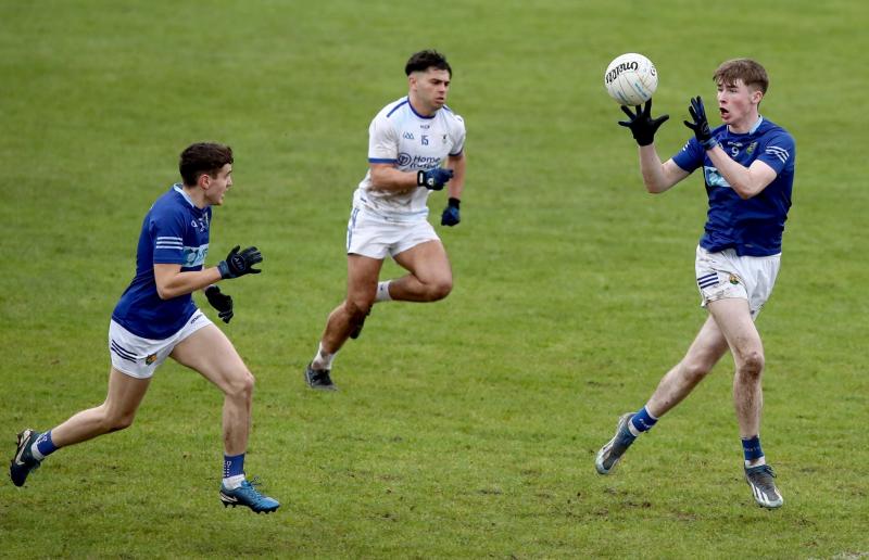 Mary’s make a big contribution to Louth’s improved standing