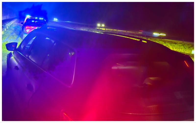 Two arrested as gardaí in Louth catch car thieves red-handed in late-night swoop 