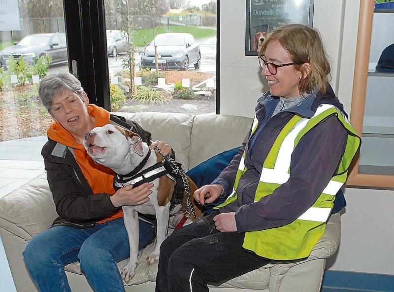 Unleashing  Hope: Dundalk's Canine Crusaders  