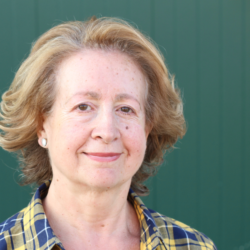 Home Instead aiming to recruit new care givers in Louth this January