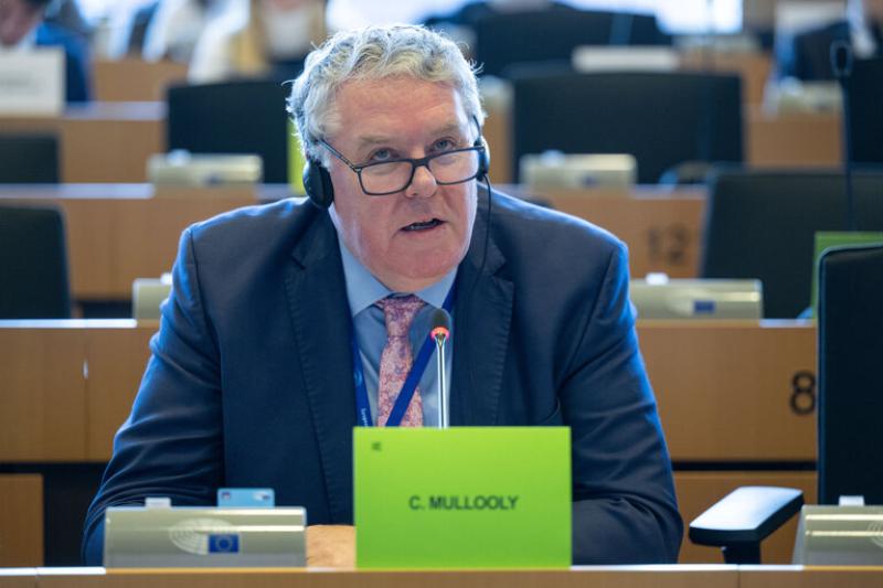 Independent Ireland MEP Ciaran Mullooly to visit Louth next week