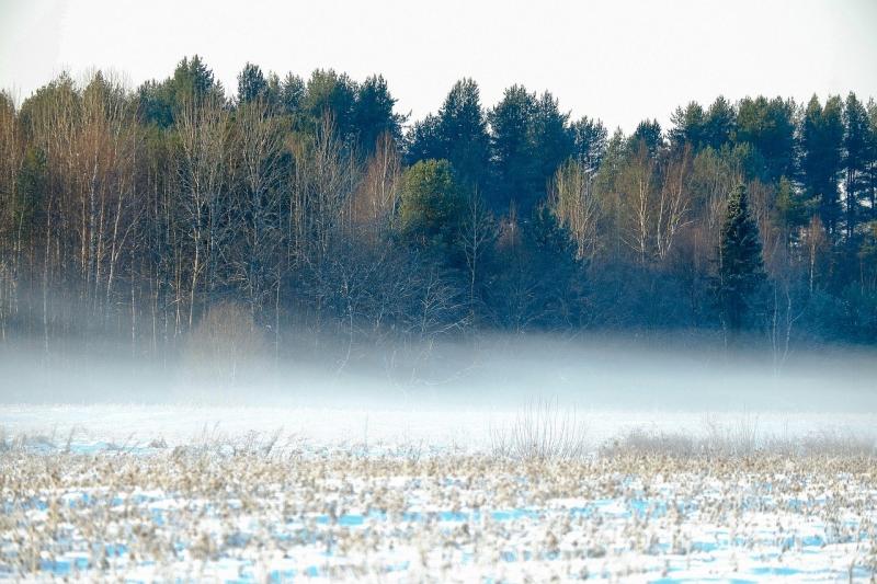 Temperatures to reach whopping 14 degrees in coming days say Met Éireann