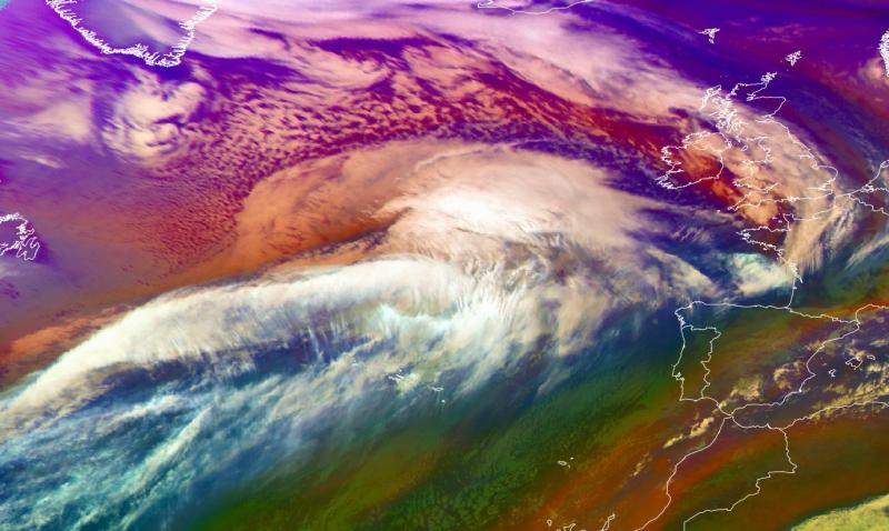 Storm Éowyn update: Thousands without power and trees down across Louth