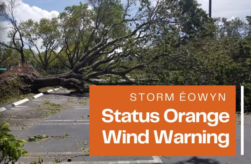 STORM ÉOWYN: Status Red lifted in Louth as people warnd of trees blocking roads across the county