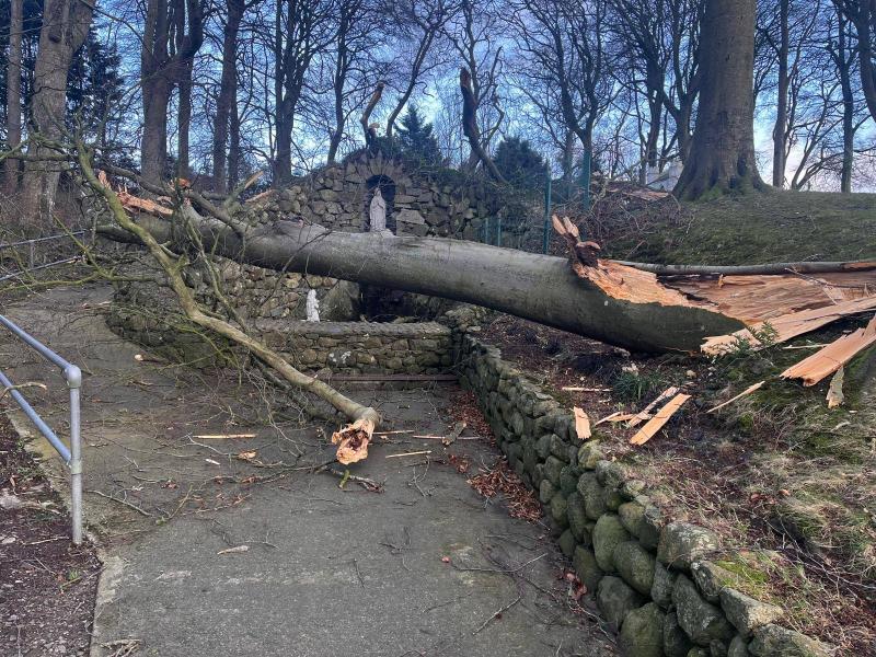 St Brigid's Shrine in north Louth badly hit by storm damage