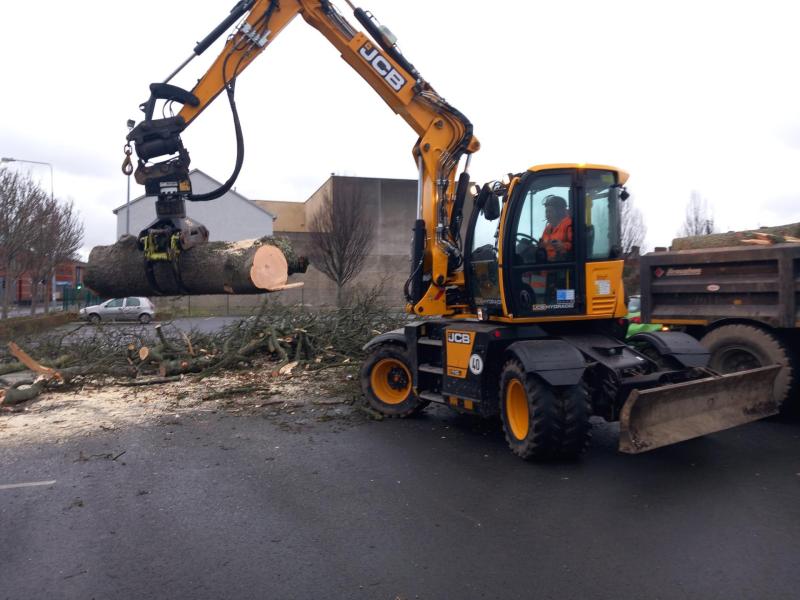 Over 180 incidents dealt with in Louth following aftermath of Storm &Eacute;owyn 