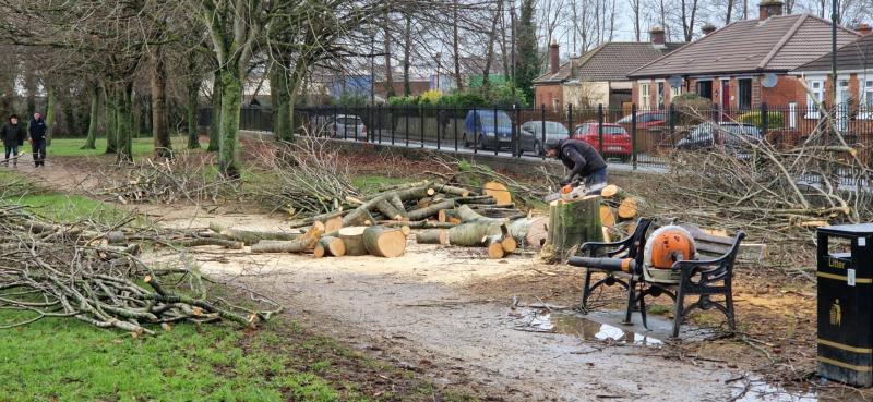 Emergency workers praised for recovery efforts in Louth in aftermath of Storm &Eacute;owyn