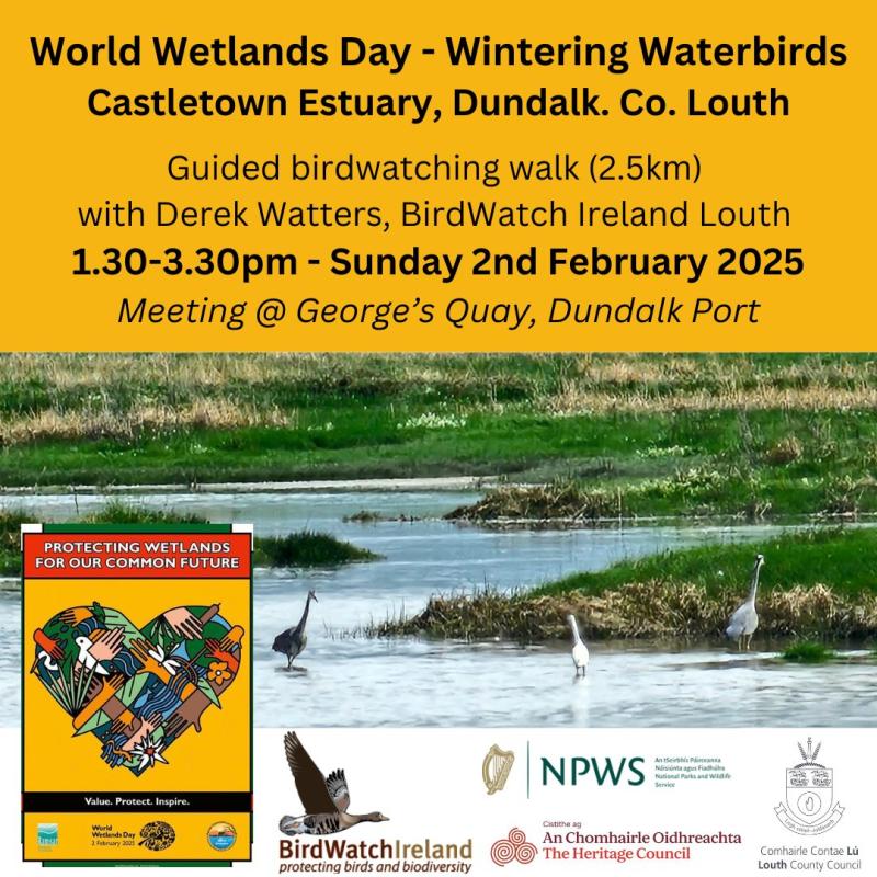 Guided birdwatching walk in Dundalk for World Wetlands Day