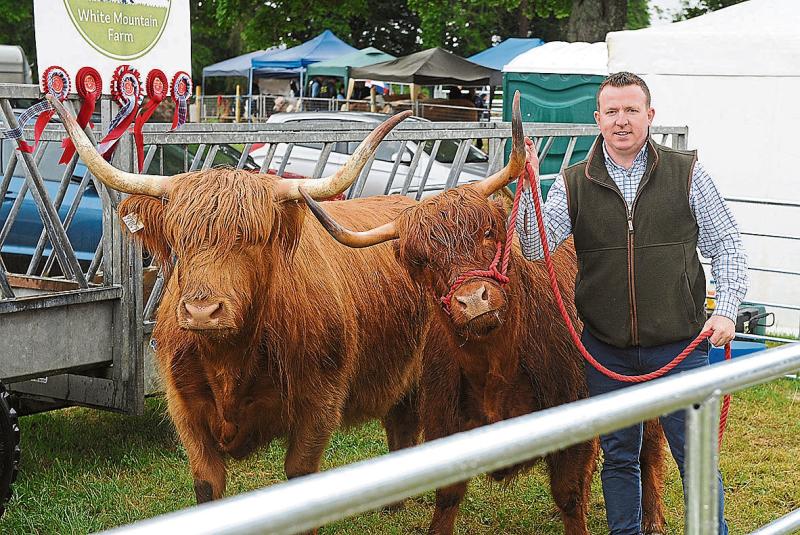 Dundalk Show Society announces date for 2025 show