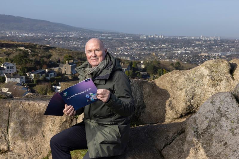 Louth sees a fall in new domain registrations