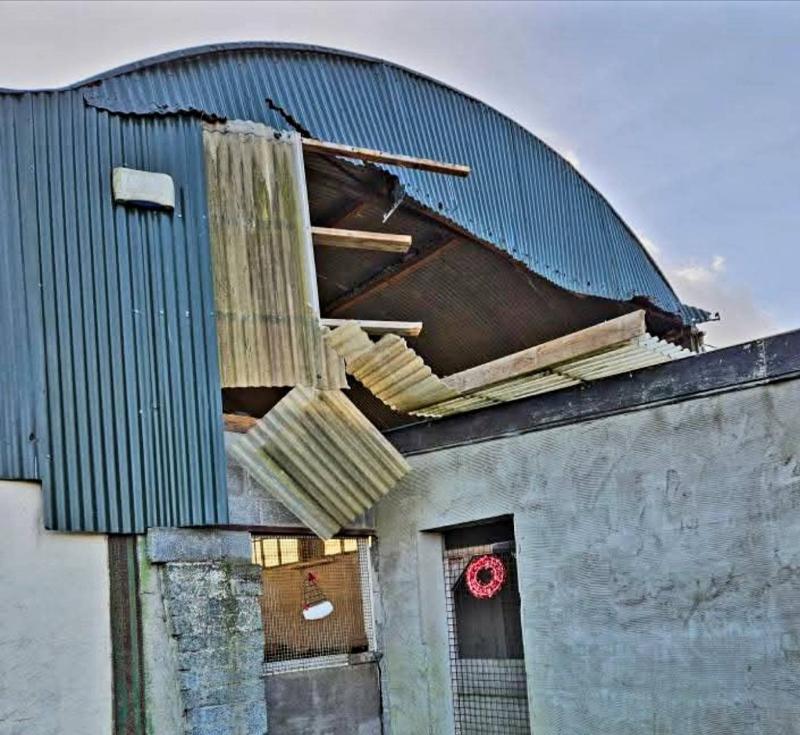 Louth SPCA urgently seeks help to repair kennels damaged during storms 