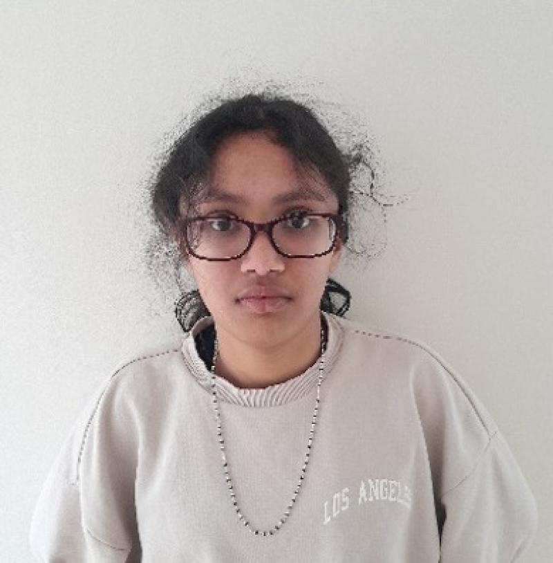 Gardai appeal for public's help in locating missing Louth teen