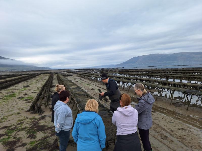 Clean Coasts Roadshow visits Carlingford Lough for oyster farm tour