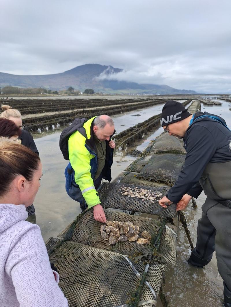 Clean Coasts Roadshow visits Carlingford Lough for oyster farm tour