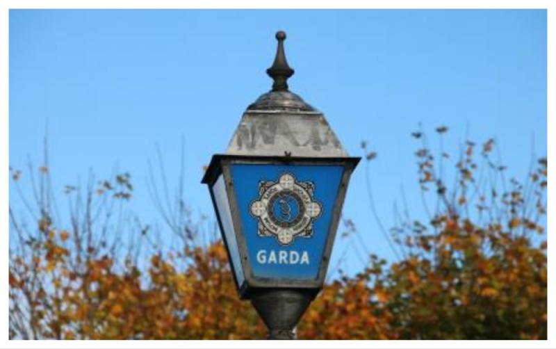 Garda&iacute; appeal for witnesses after man in his 60s seriously assaulted at residence