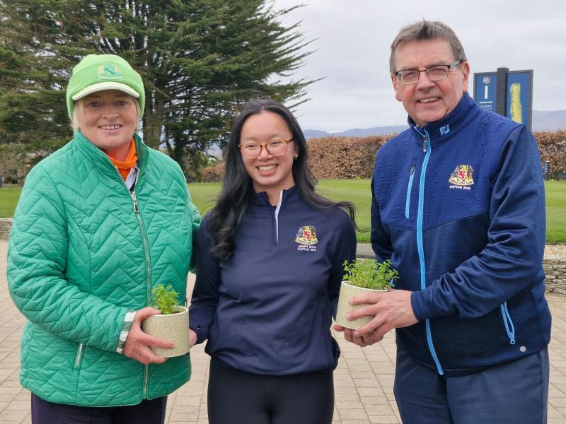 Dundalk Golf Club and Mannan Castle Golf Club notes