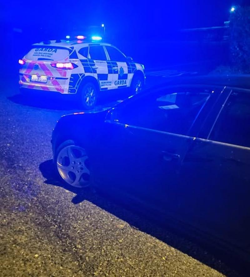 Louth Garda&iacute; pounce on illegal border car meet