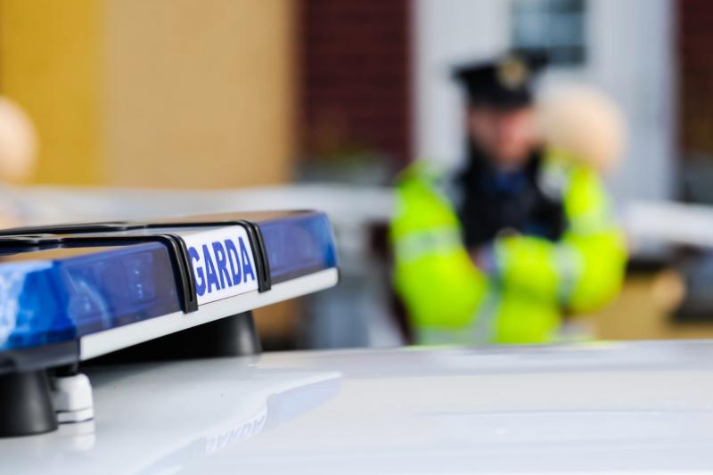 LATEST: Garda&iacute; search 'several' homes and one arrested in hunt for escaped detainee