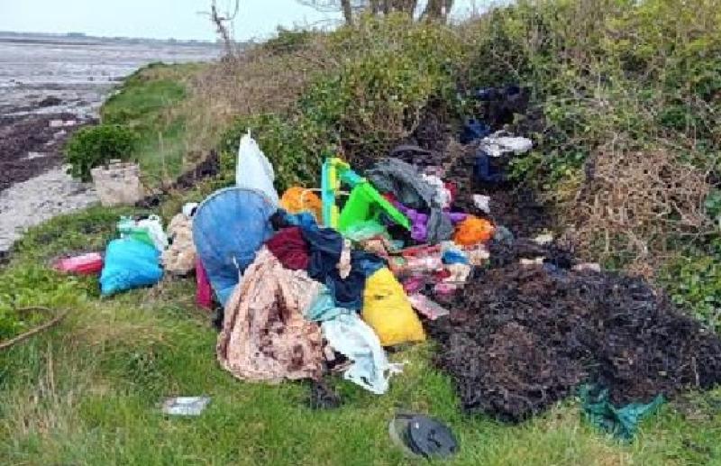 181 investigations in relation to waste dumping in Louth in April