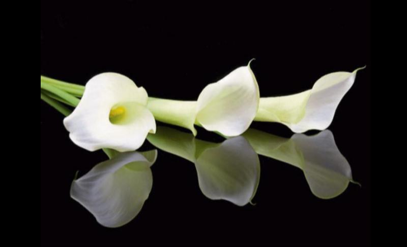 Deaths in Dundalk - Wednesday 3 September 2025