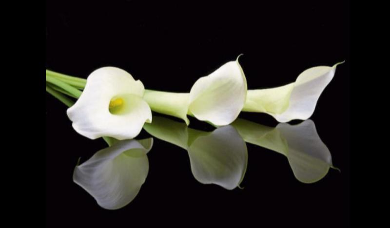 Deaths in Dundalk - Monday 2 February 2026