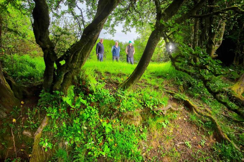 Programme for Louth groups to protect their local heritage opens for applications