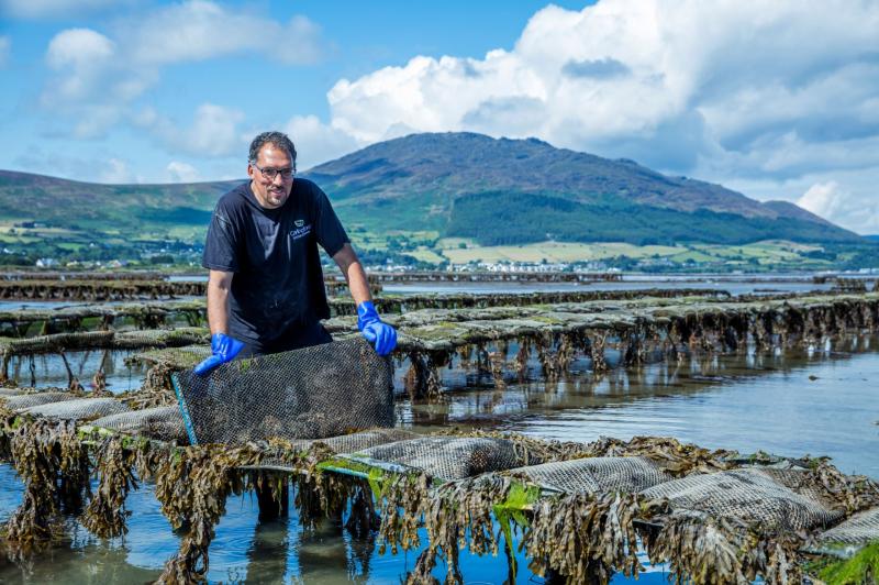 Follow the Flavour: Explore County Louth’s Scenic Seafood Trail with Sea Louth 