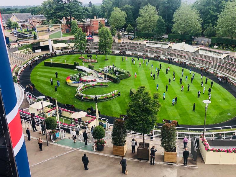 Inside Track: A place in Royal Ascot parade ring could have been mine
