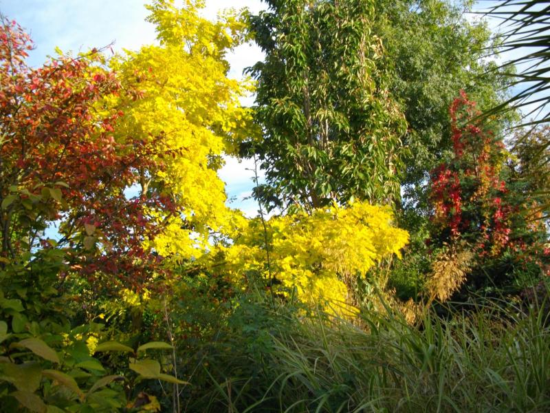 Dundalk couple are once again opening their beautiful garden to the public for charity