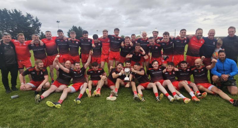 Louth GAA club | Division Three round-up