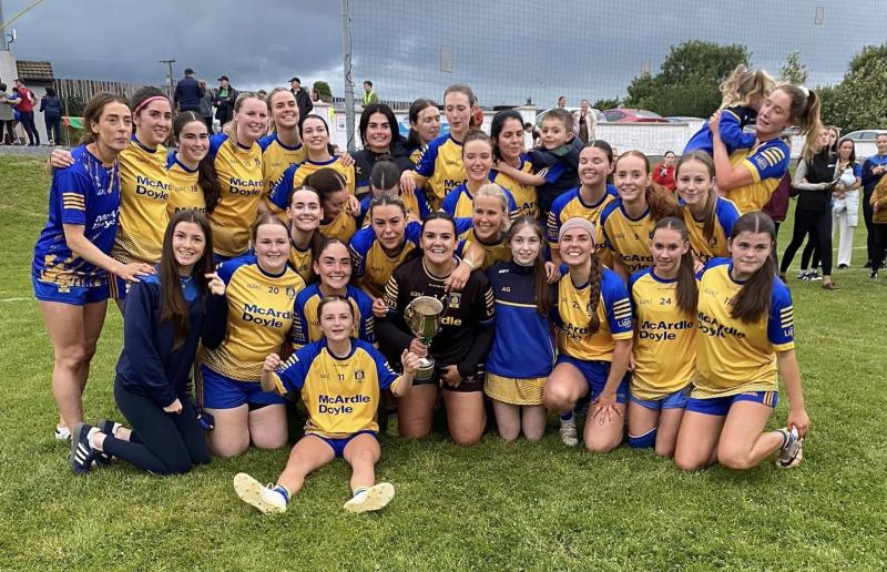 Louth LGFA club | Division 2 and Division 3 finals round-up