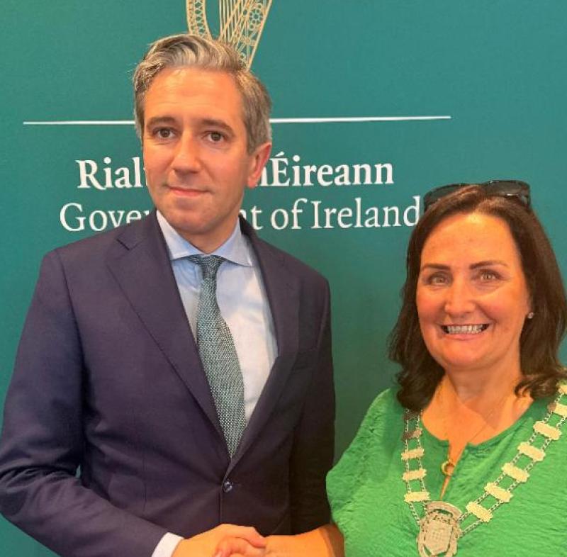 €1m for Ardee Castle will close funding shortfall says Louth councillor