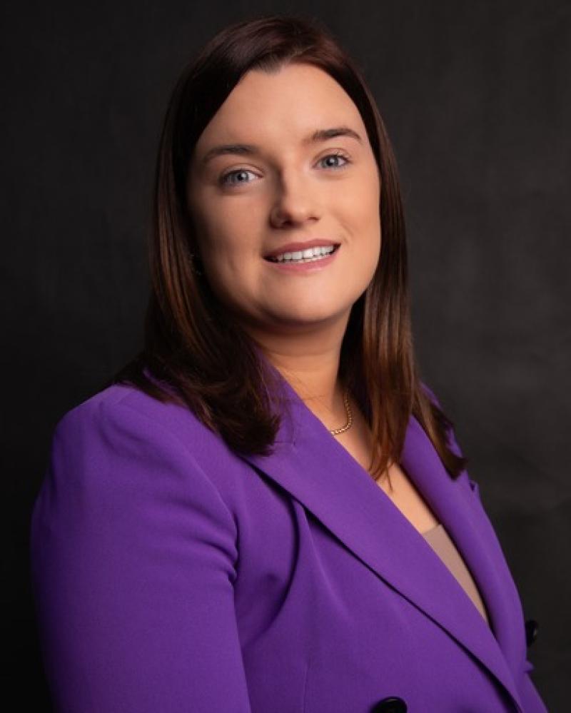 Louth councillor welcomes plans for relaxation of planning laws around log cabins