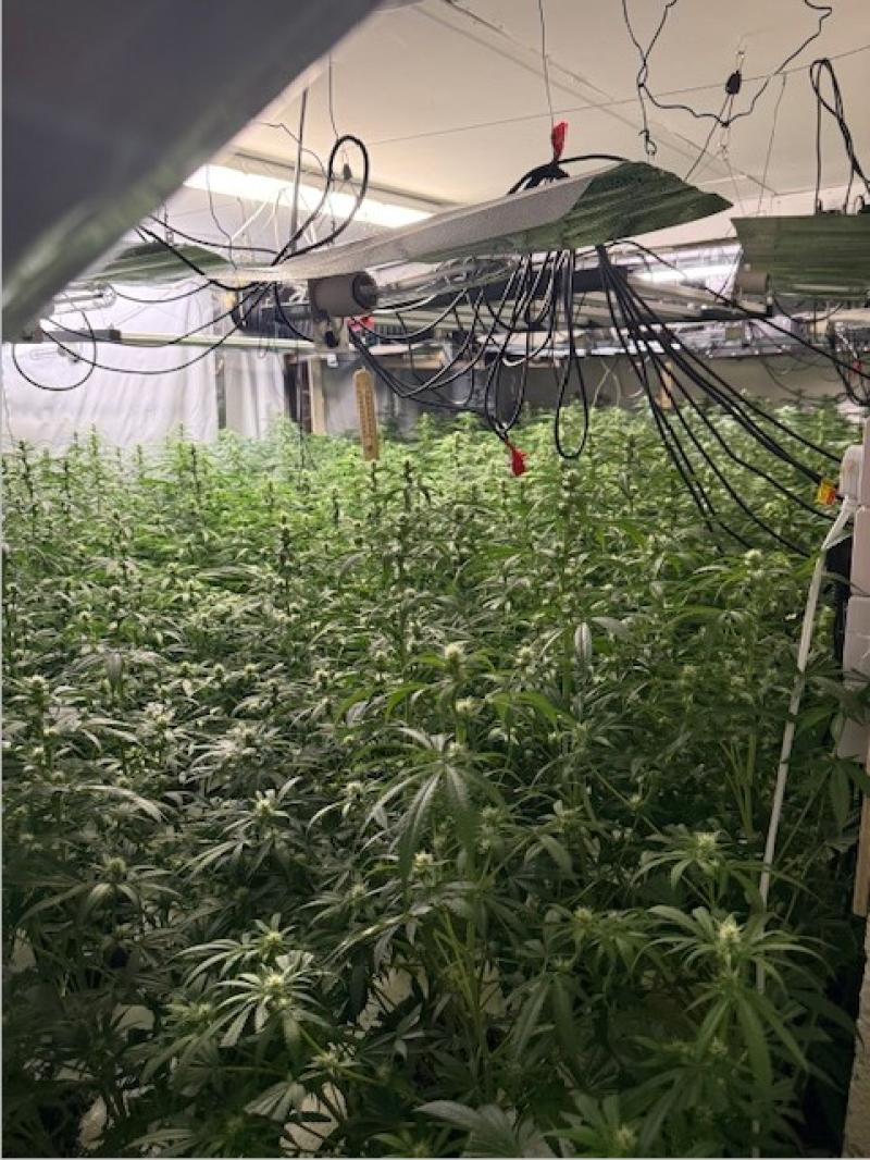 Over €750,000 worth of drugs seized in Louth 