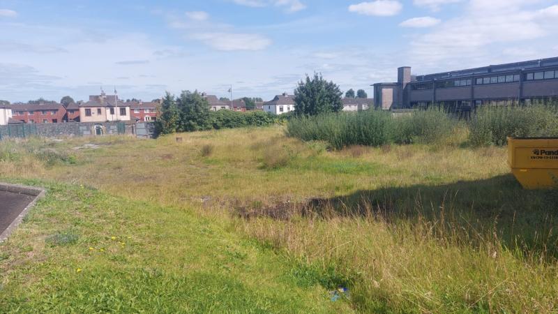 Limerick council ordered to pay wheelchair charity's costs after land row