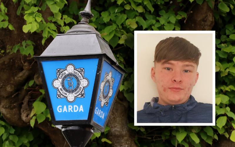Search for teenage boy (16) missing for over a week stood down as garda&iacute; issue update