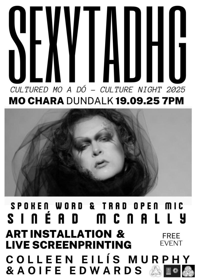 Art, music and language at Dundalk's Mo Chara for Culture Night