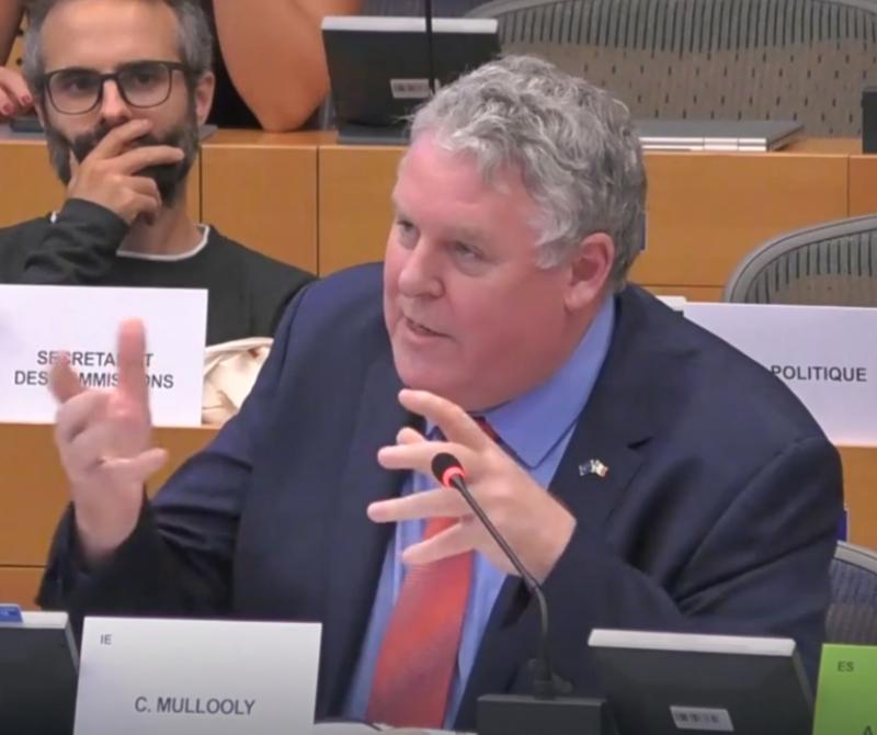Farmers in Louth will lose out in new Mercosur proposal claims MEP