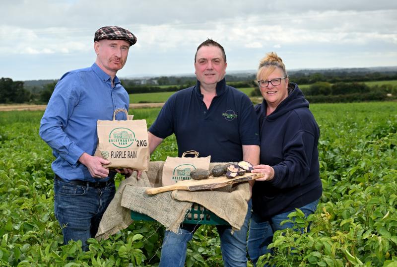 Louth farm to supply potatoes to M&S stores across Ireland