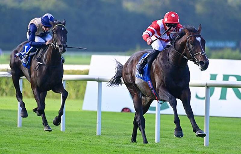 Inside Track: Frank’s horse survives a bump on way to big Leopardstown win