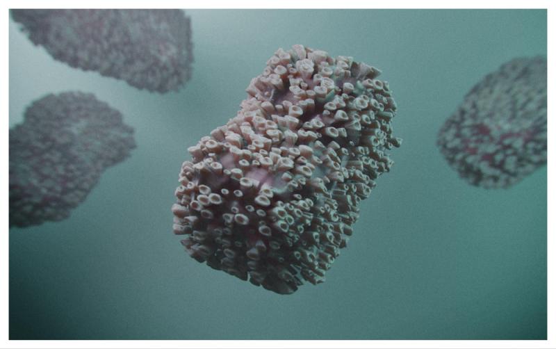 What is the Mpox virus as HSE confirms cluster of more serious strain detected in Ireland