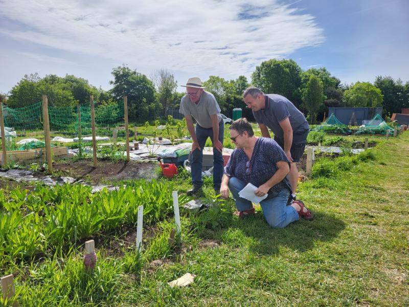 Tour at community garden in Dundalk to mark National Community Gardens week
