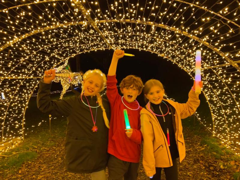 Adventure Lights returns to Skypark Carlingford bringing loads of family fun