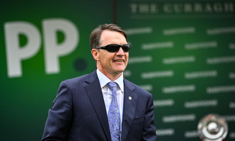 Inside Track: Global racing sees Irish horses at their best