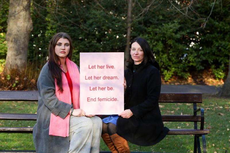 Appeal to Louth public to support Christmas campaign against femicide
